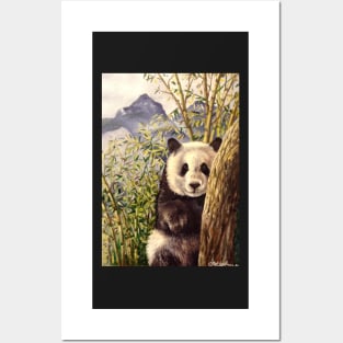 Giant Panda Posters and Art